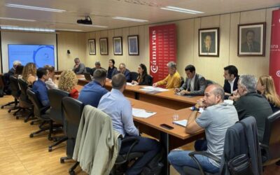Cabildo y Cámara de Comercio refuerzan la acción exterior de las empresas con Tenerife Licita 2020