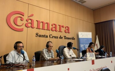 Tenerife Licita localiza más de 3.000 licitaciones internacionales para las empresas tinerfeñas