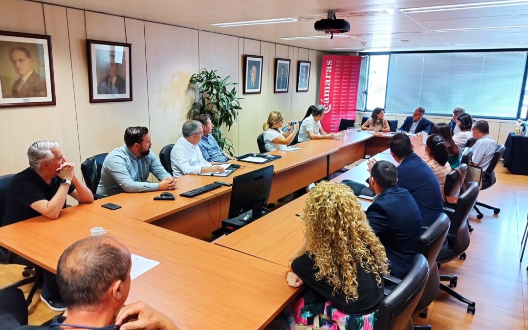 Tenerife Licita mejora la competitividad de las empresas tinerfeñas ante las Naciones Unidas