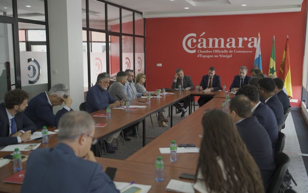 Las empresas de Tenerife Licita participan en una Misión Directa a Senegal