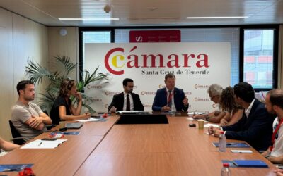 Tenerife Licita celebra su segundo encuentro de empresas miembro de este 2025