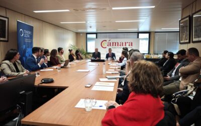 Tenerife Licita impulsa la expansión global de las empresas